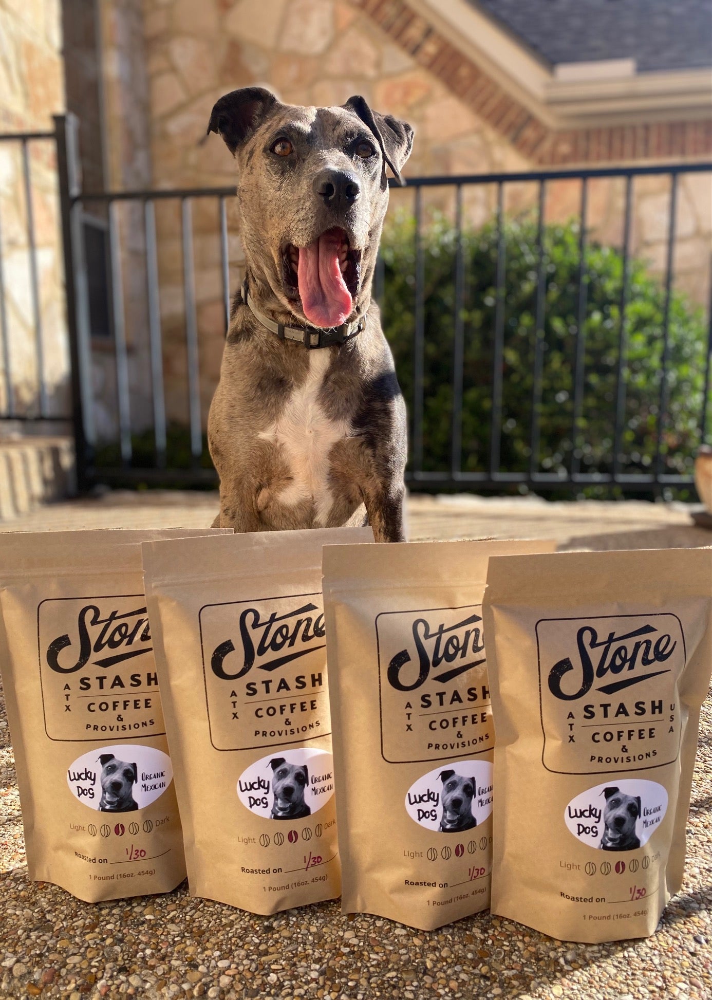 Seasonal Coffee 16oz